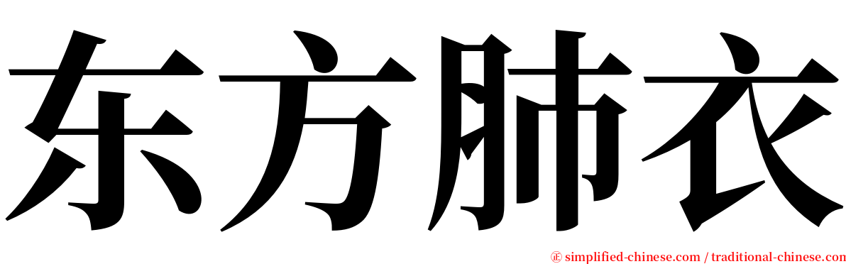 东方肺衣 serif font