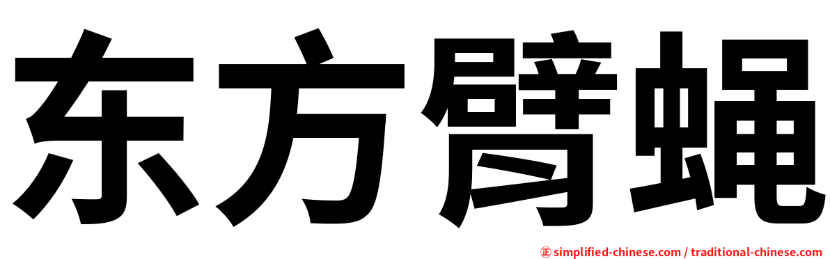 东方臂蝇