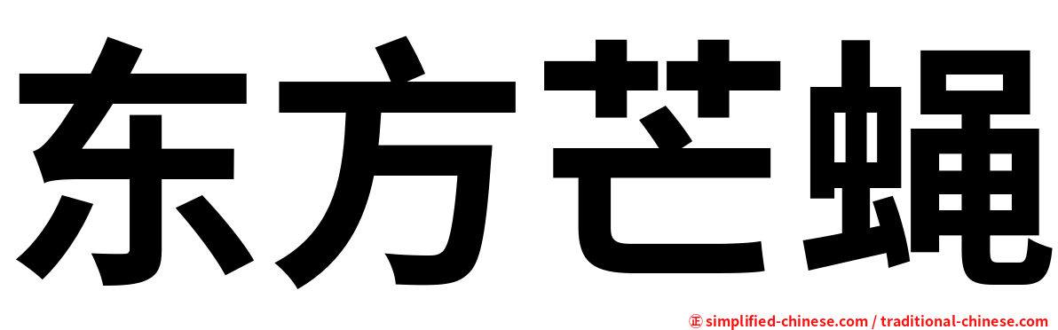 东方芒蝇