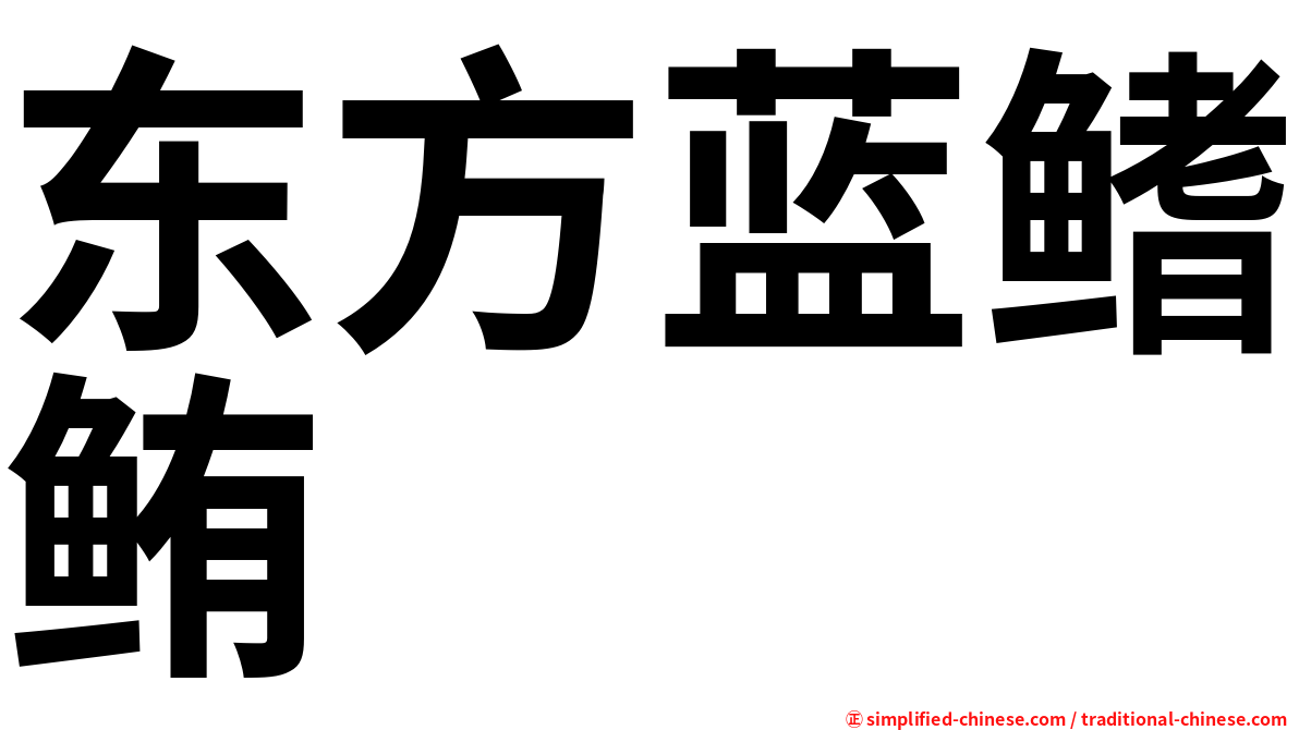 东方蓝鳍鲔