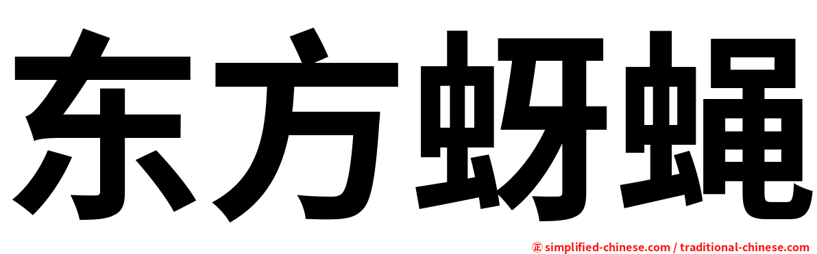 东方蚜蝇