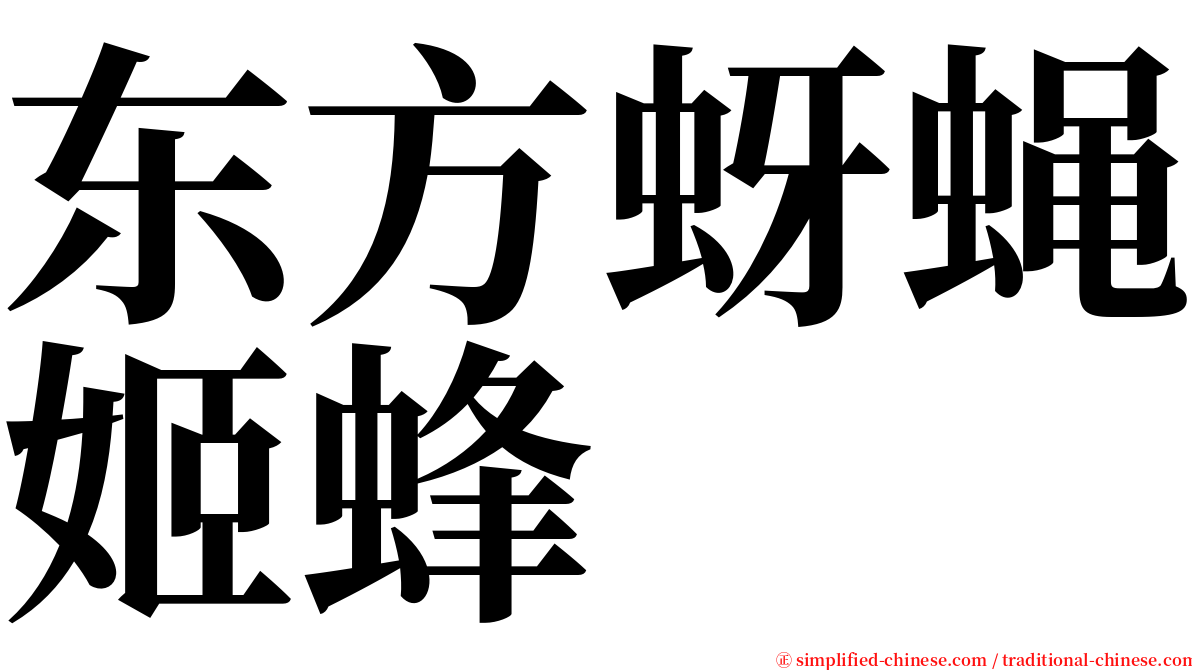 东方蚜蝇姬蜂 serif font