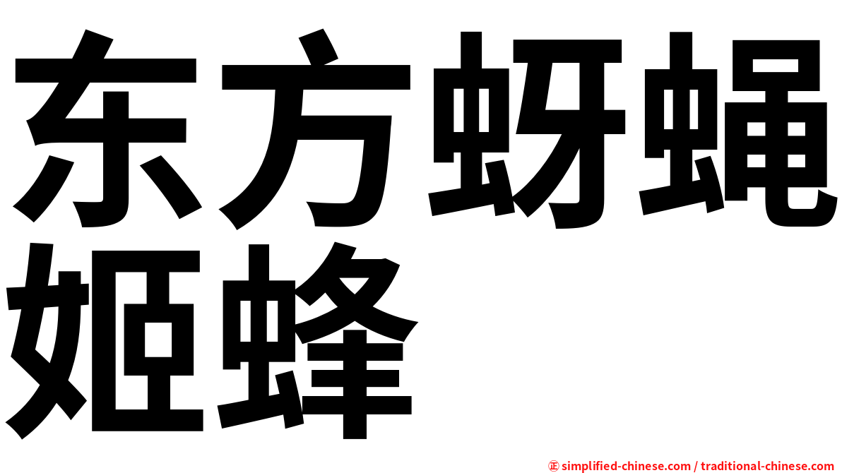 东方蚜蝇姬蜂