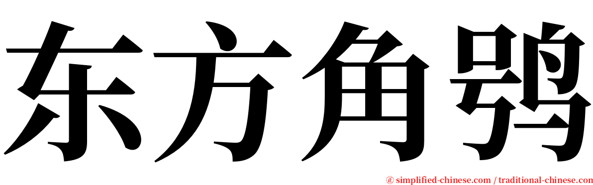 东方角鸮 serif font