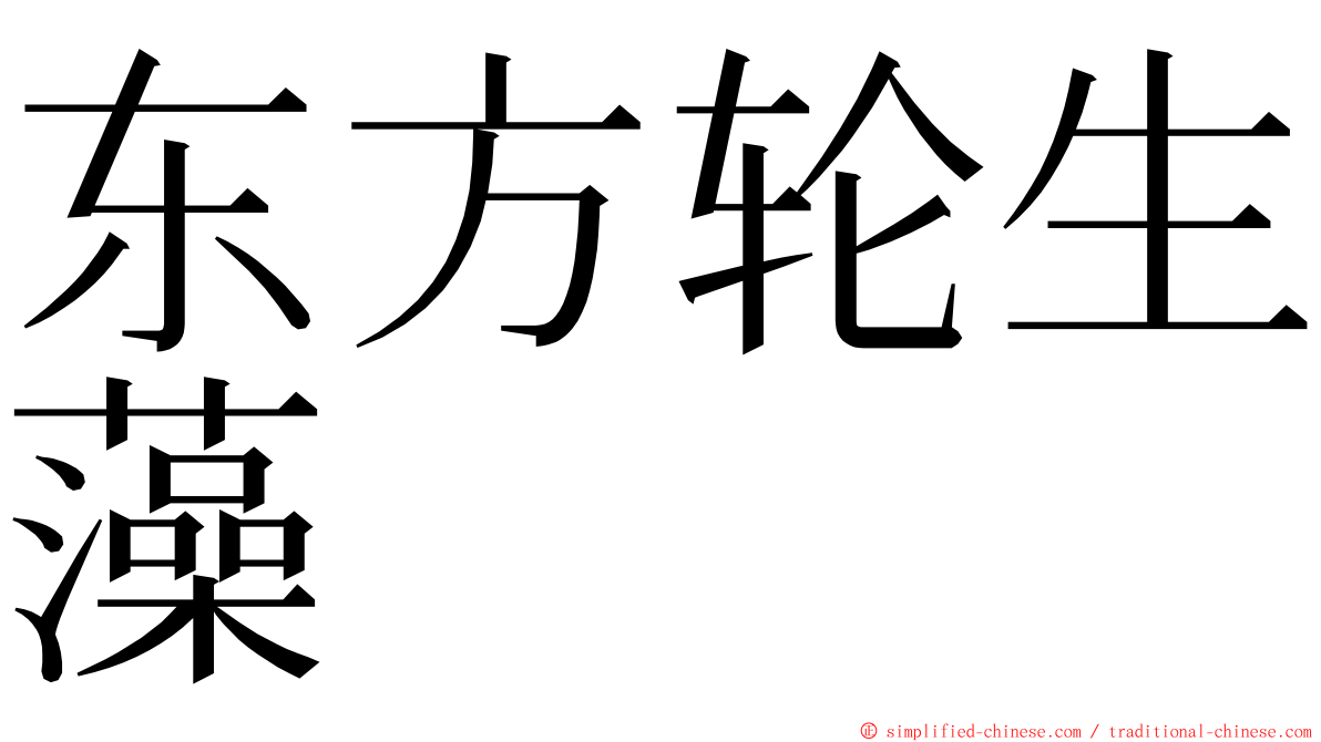 东方轮生藻 ming font