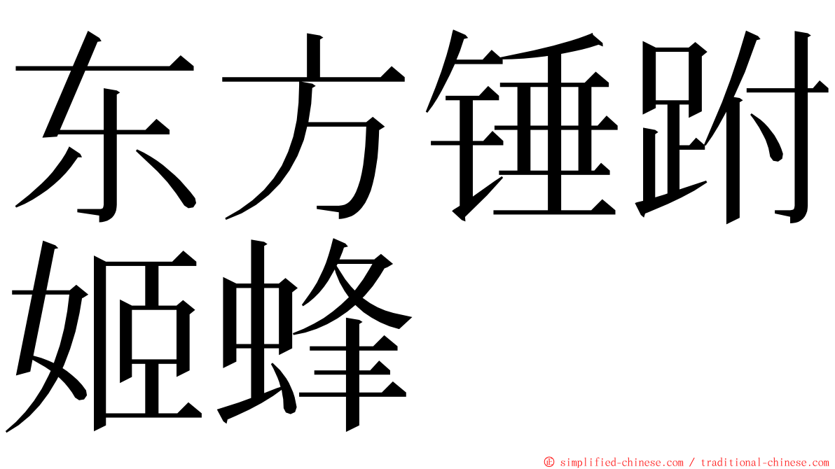 东方锤跗姬蜂 ming font