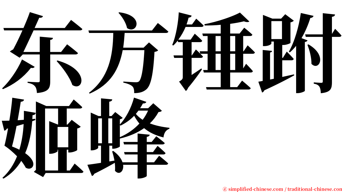 东方锤跗姬蜂 serif font