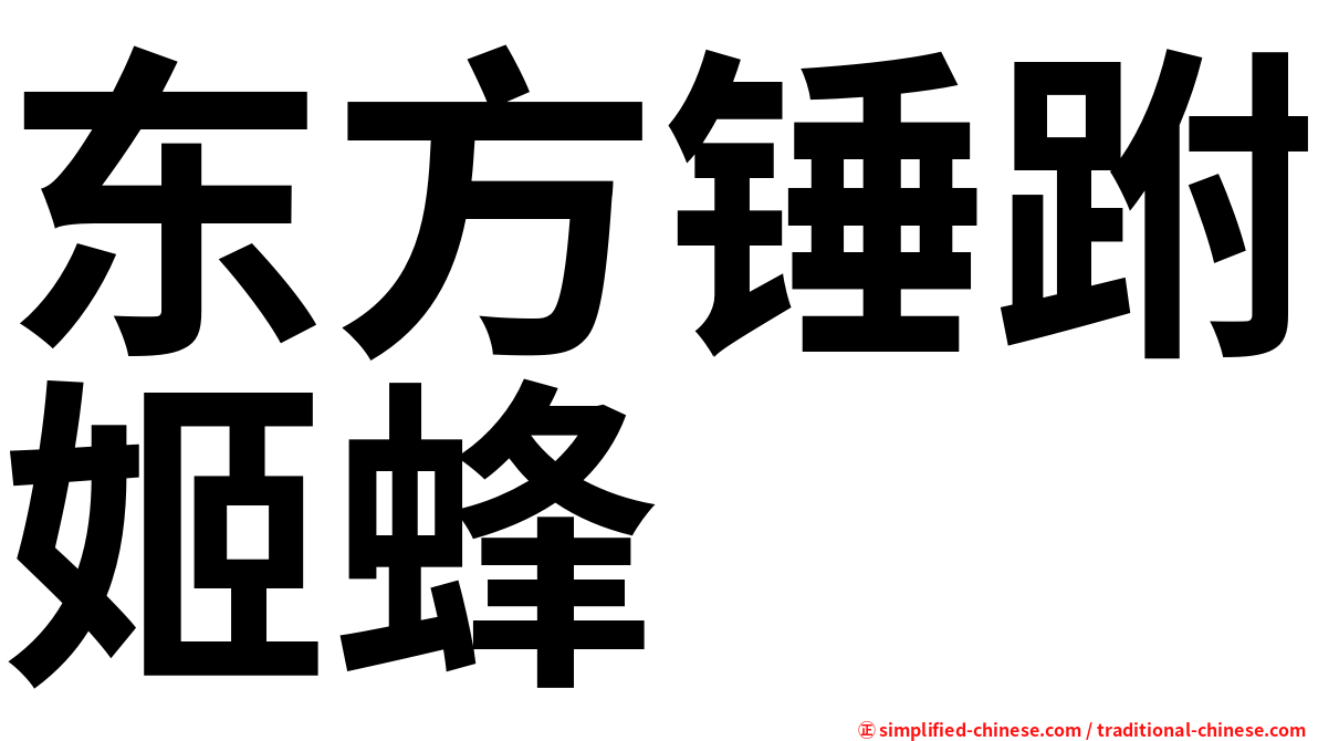 东方锤跗姬蜂