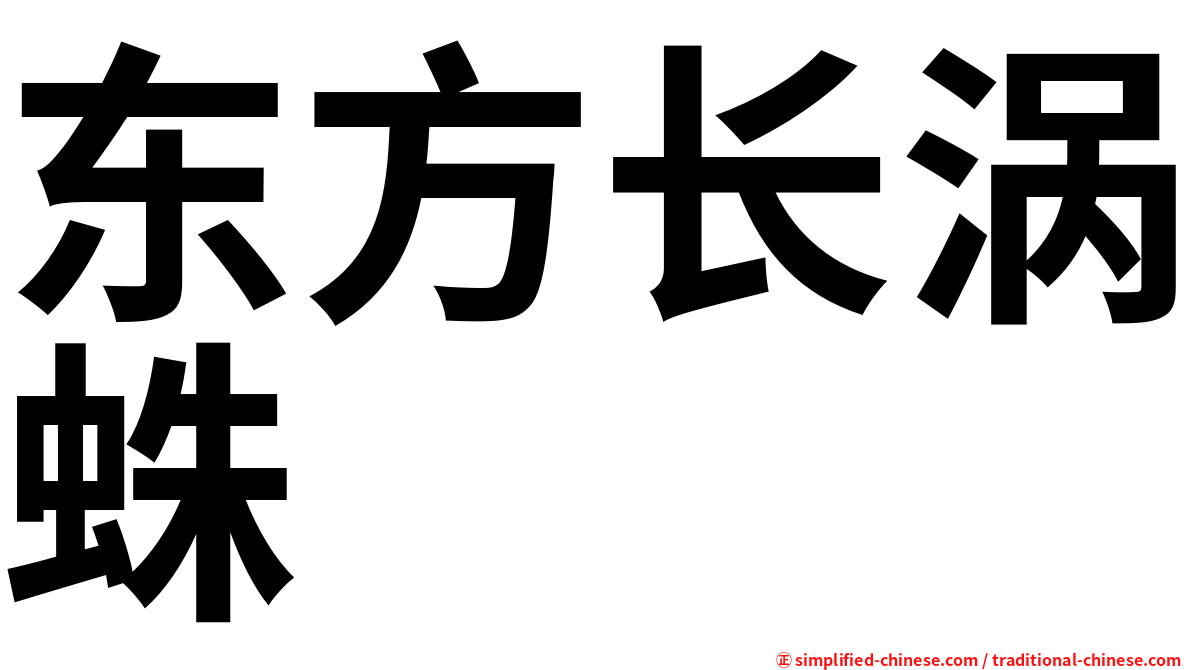 东方长涡蛛