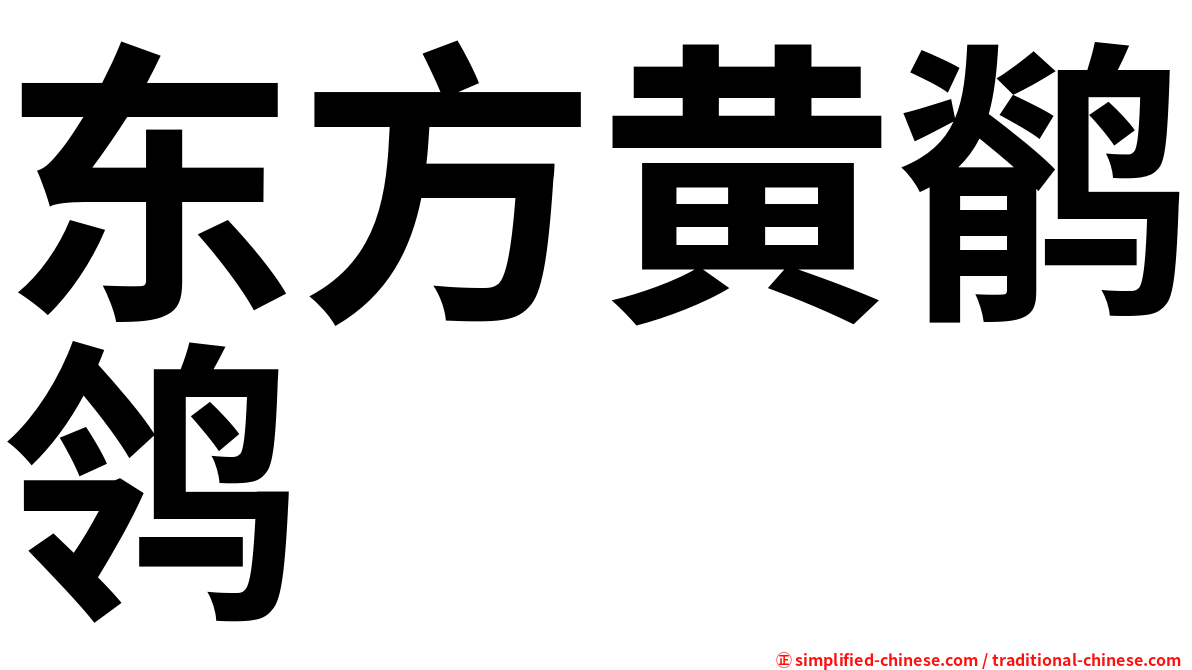 东方黄鹡鸰
