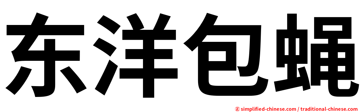 东洋包蝇