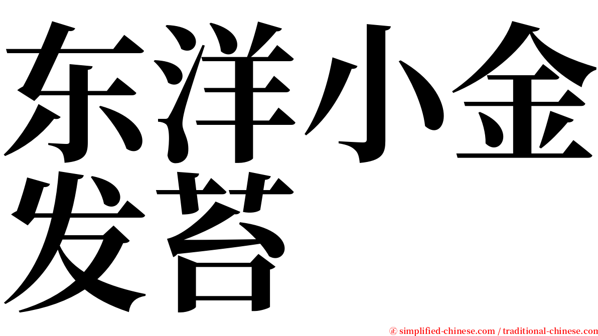 东洋小金发苔 serif font