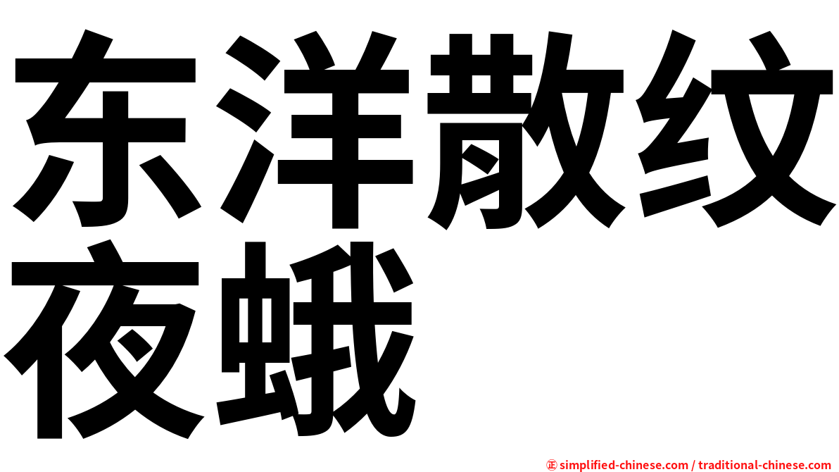 东洋散纹夜蛾