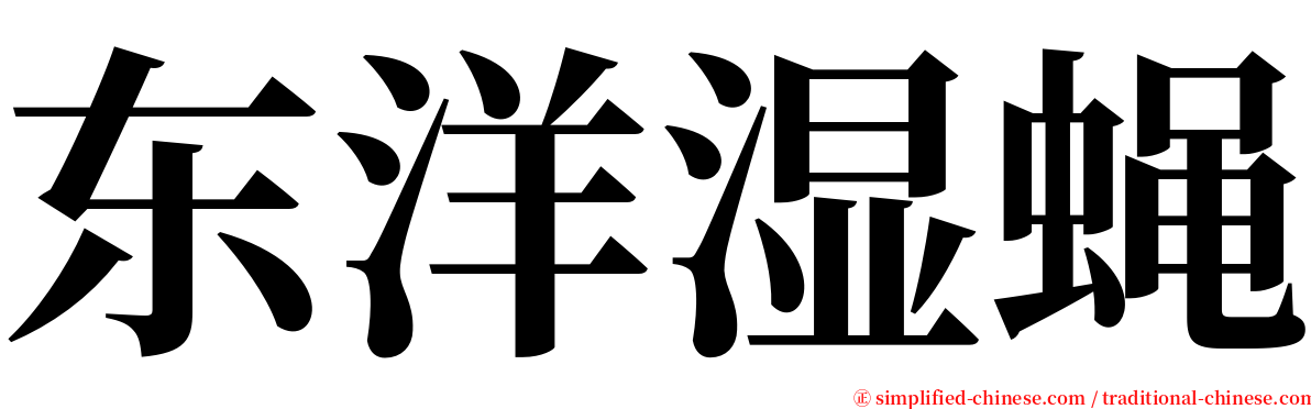 东洋湿蝇 serif font