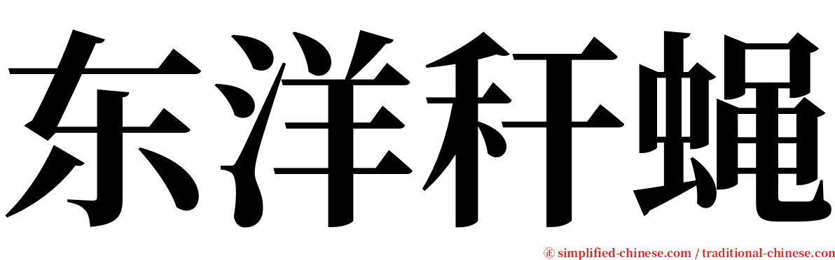 东洋秆蝇 serif font