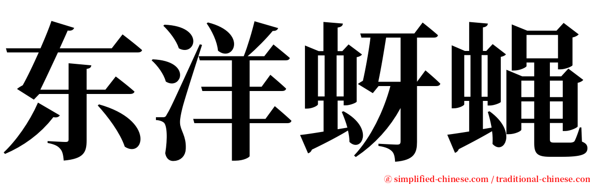 东洋蚜蝇 serif font