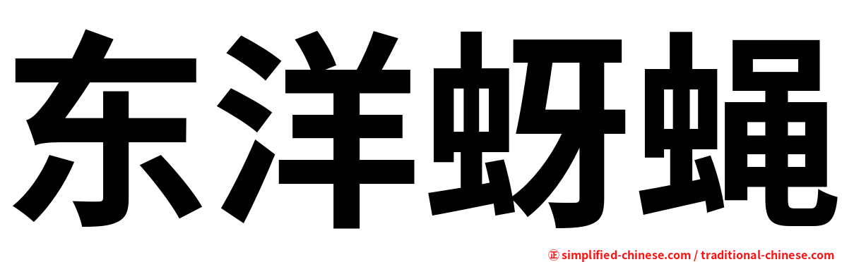 东洋蚜蝇