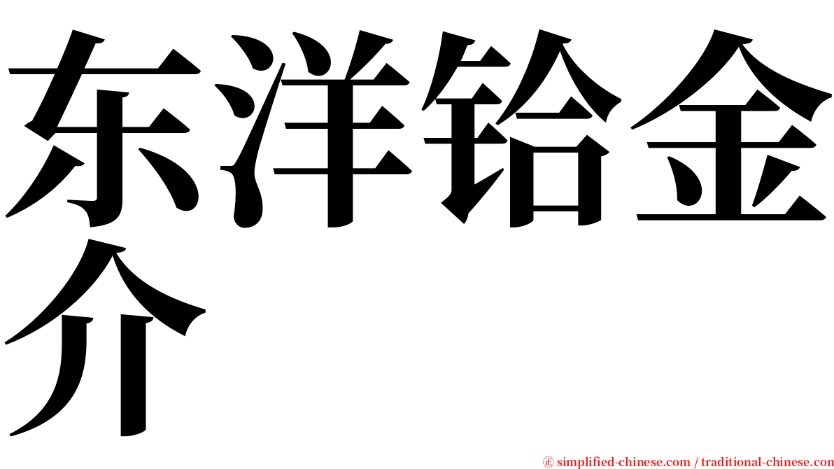 东洋铪金介 serif font