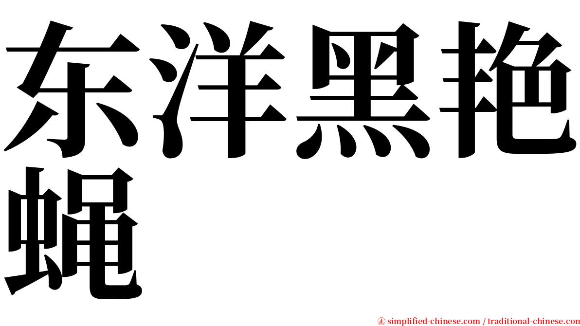 东洋黑艳蝇 serif font