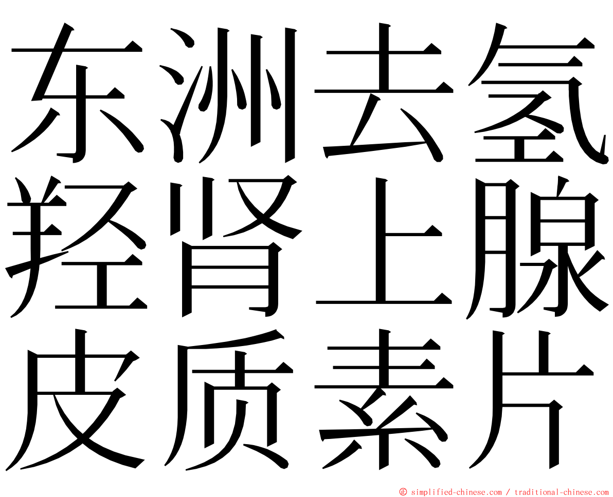 东洲去氢羟肾上腺皮质素片 ming font