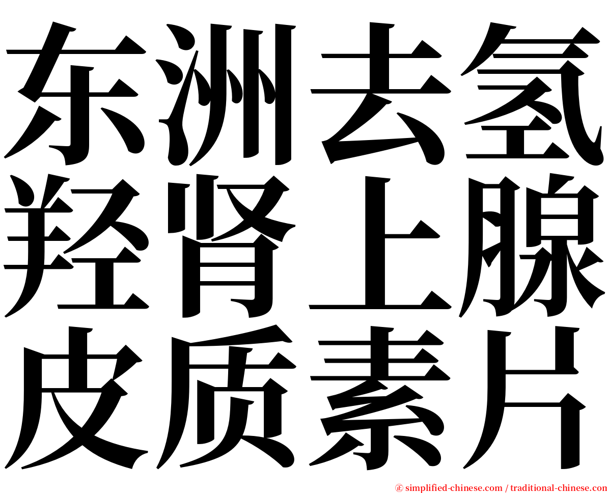 东洲去氢羟肾上腺皮质素片 serif font