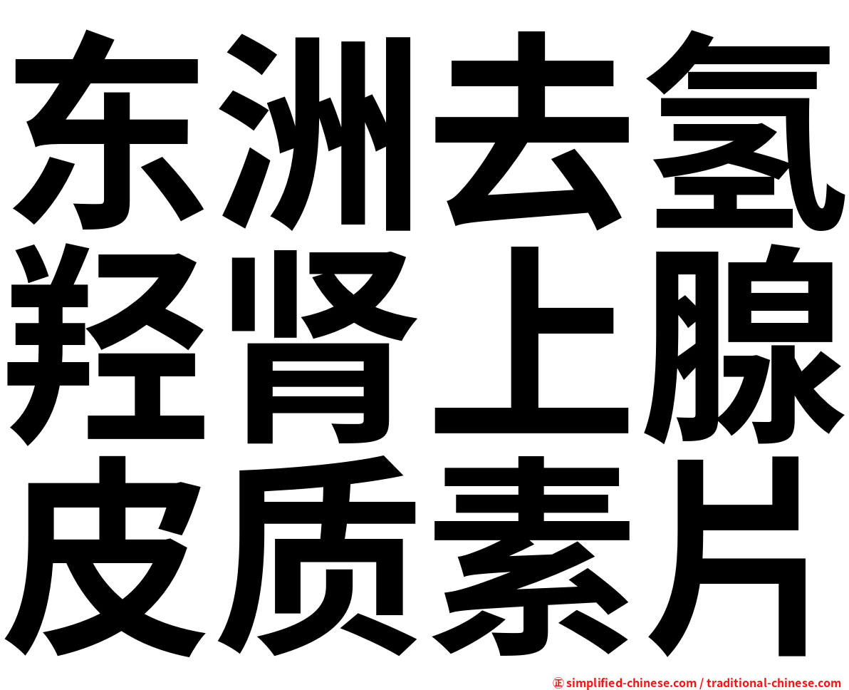 东洲去氢羟肾上腺皮质素片
