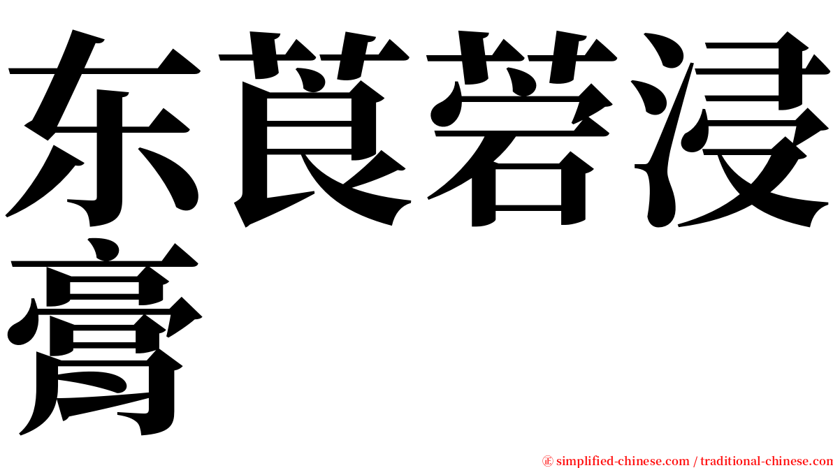 东莨菪浸膏 serif font