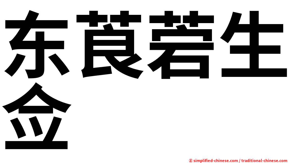 东莨菪生佥