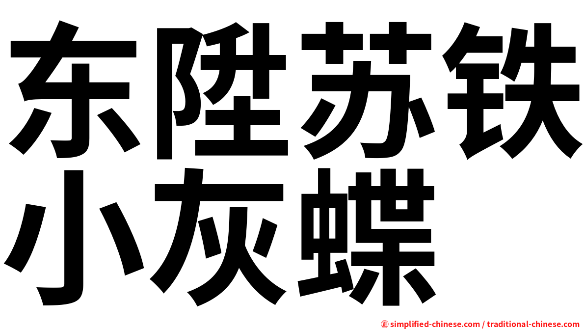 东陞苏铁小灰蝶