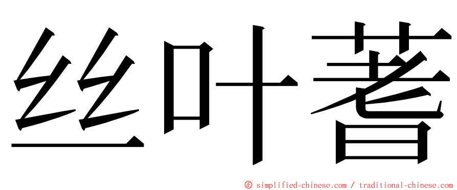 丝叶蓍 ming font