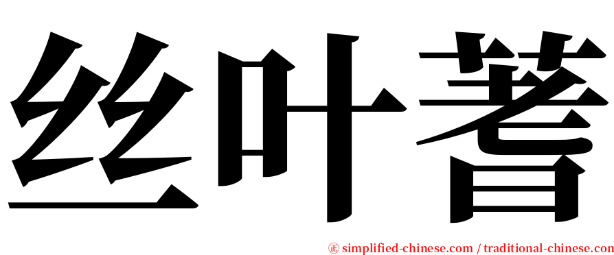 丝叶蓍 serif font