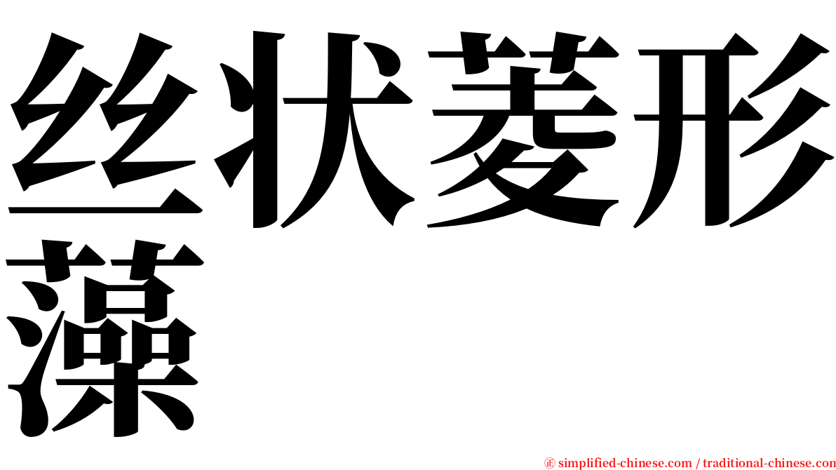 丝状菱形藻 serif font