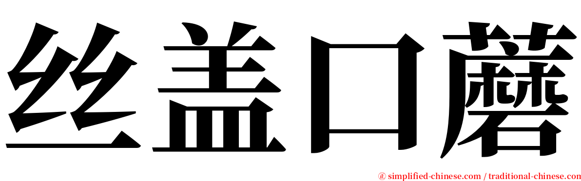 丝盖口蘑 serif font