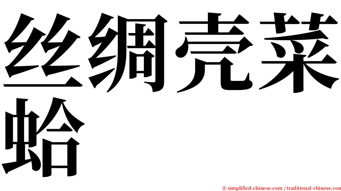 丝绸壳菜蛤 serif font
