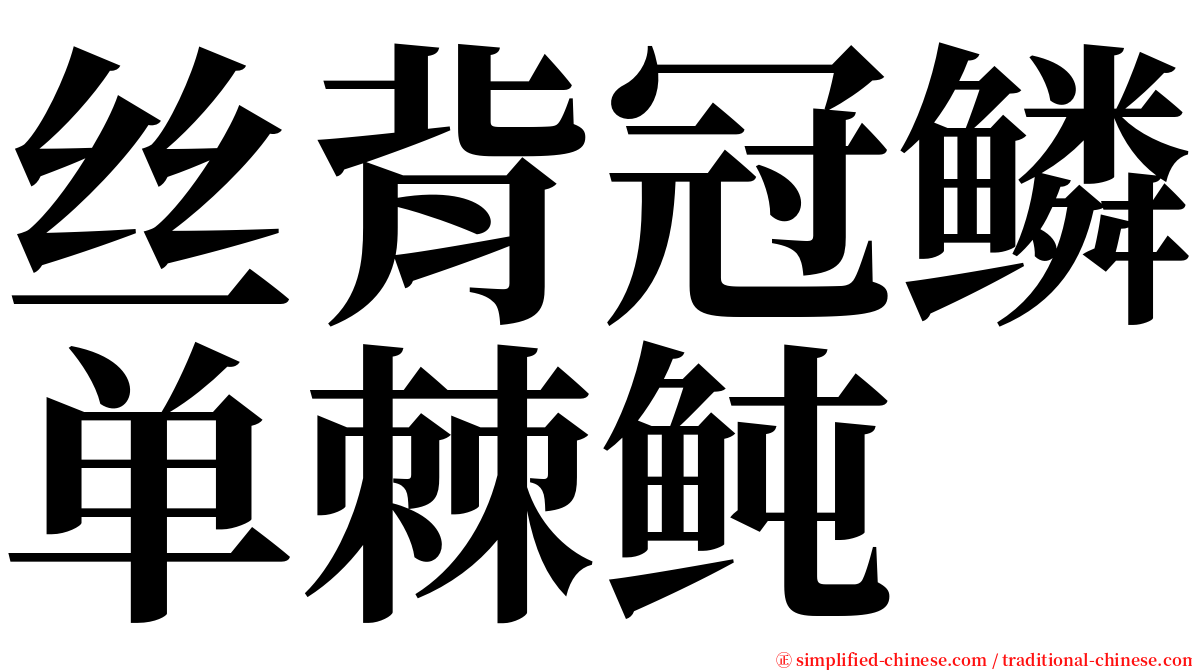 丝背冠鳞单棘鲀 serif font
