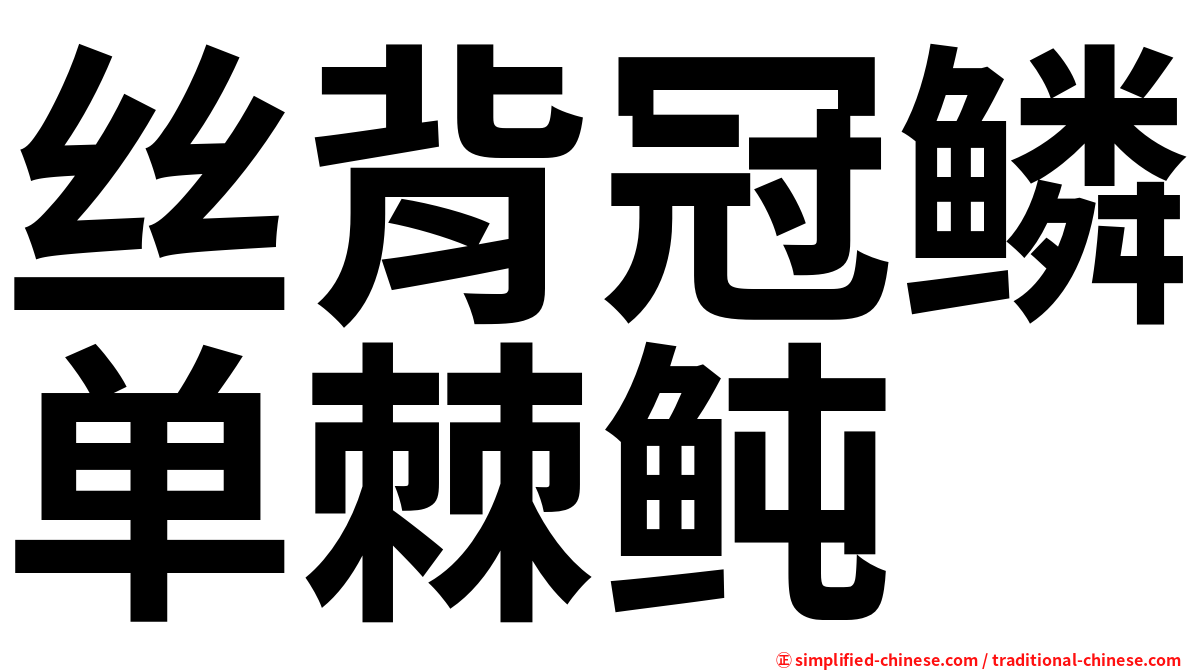 丝背冠鳞单棘鲀