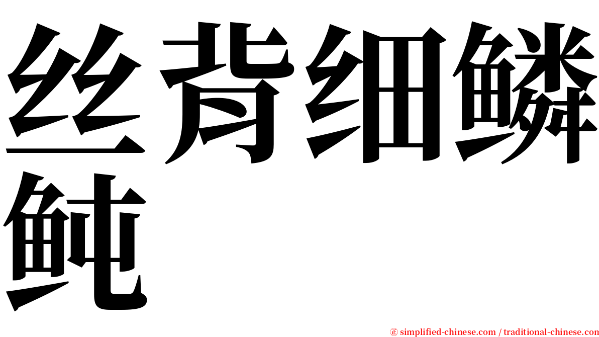 丝背细鳞鲀 serif font