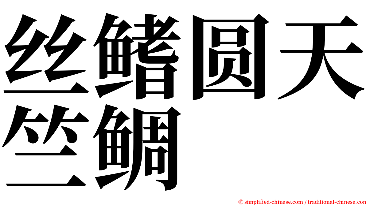 丝鳍圆天竺鲷 serif font