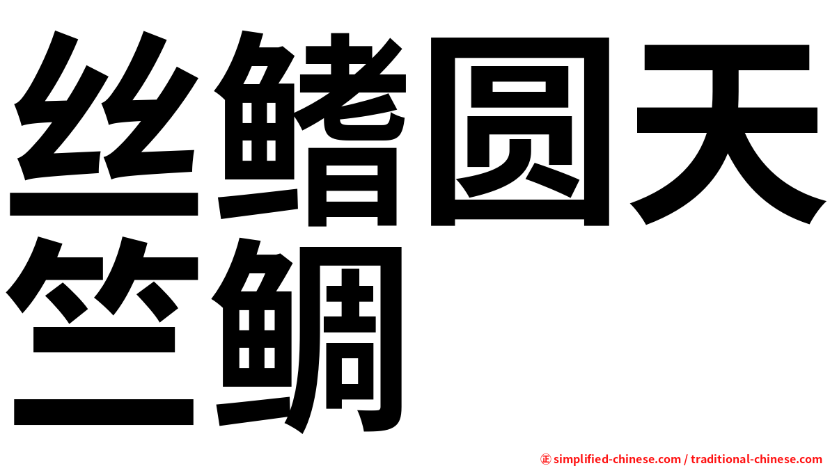 丝鳍圆天竺鲷