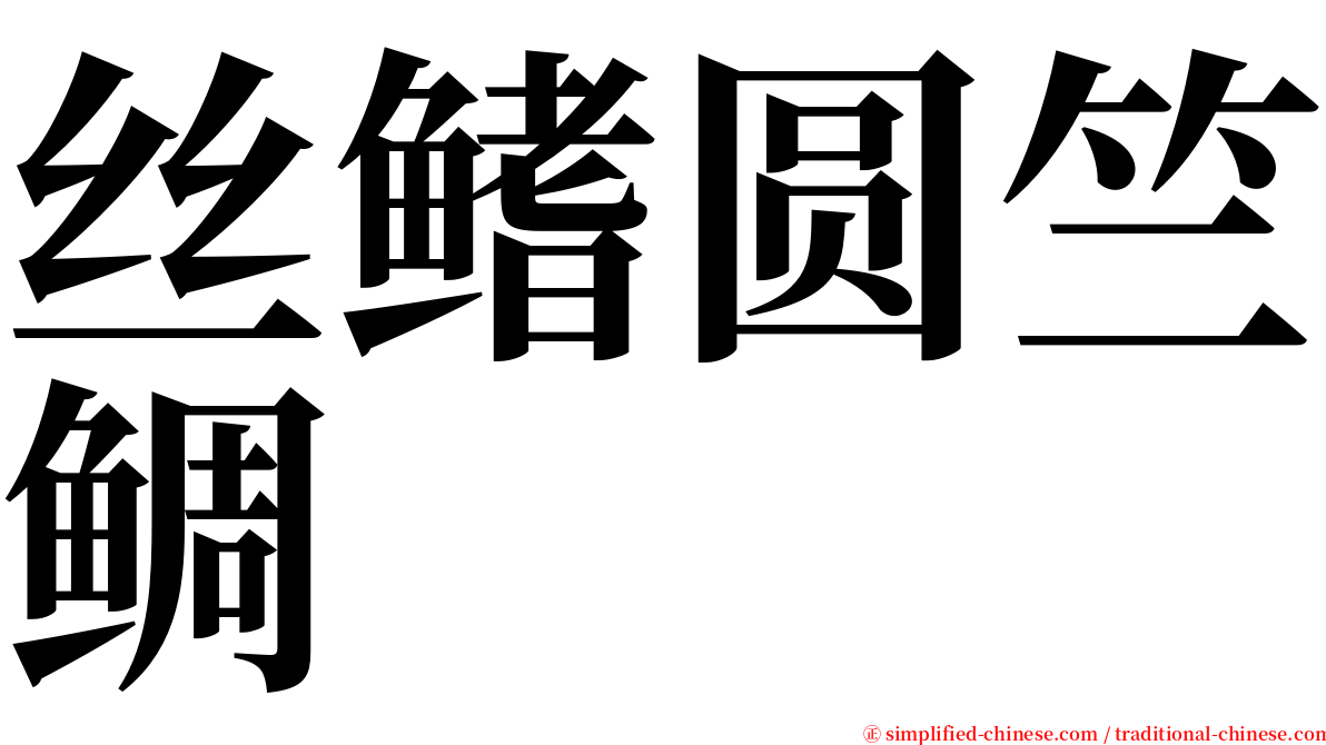 丝鳍圆竺鲷 serif font