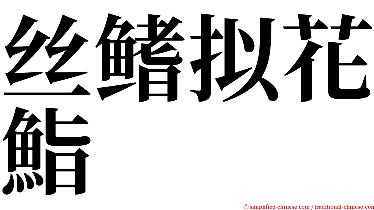 丝鳍拟花鮨 serif font