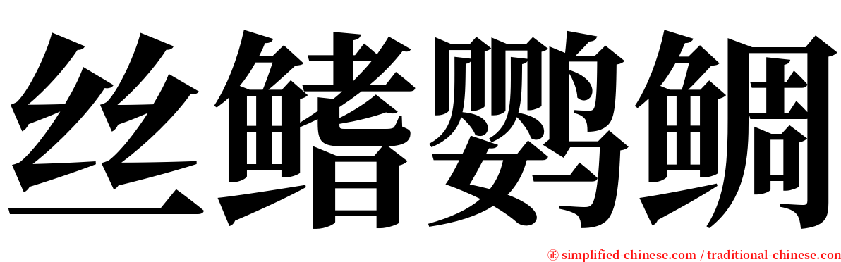 丝鳍鹦鲷 serif font
