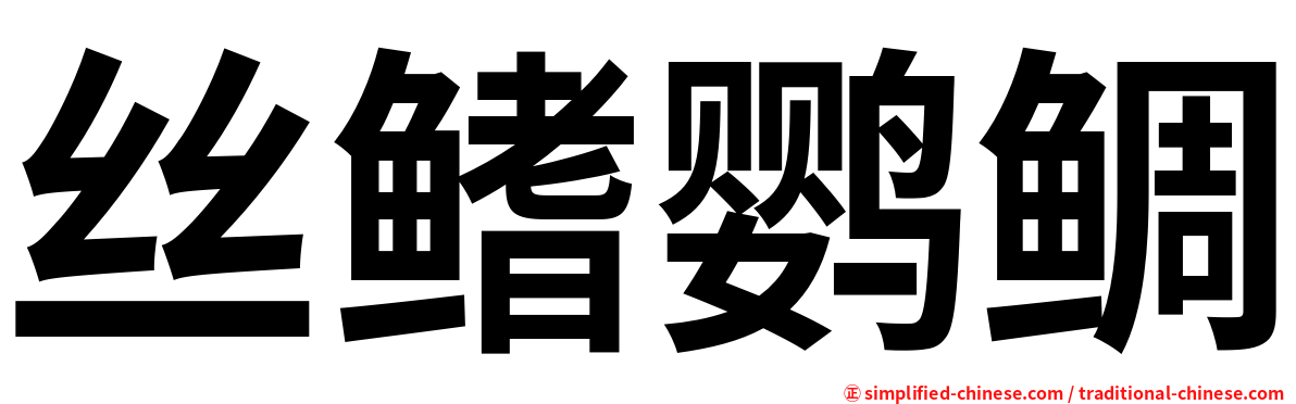 丝鳍鹦鲷