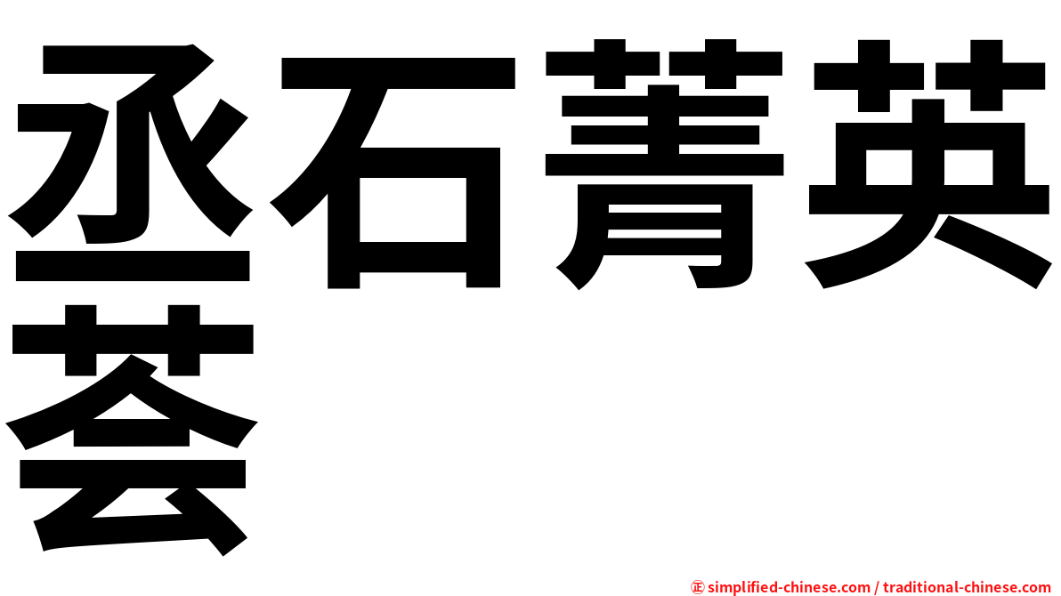 丞石菁英荟