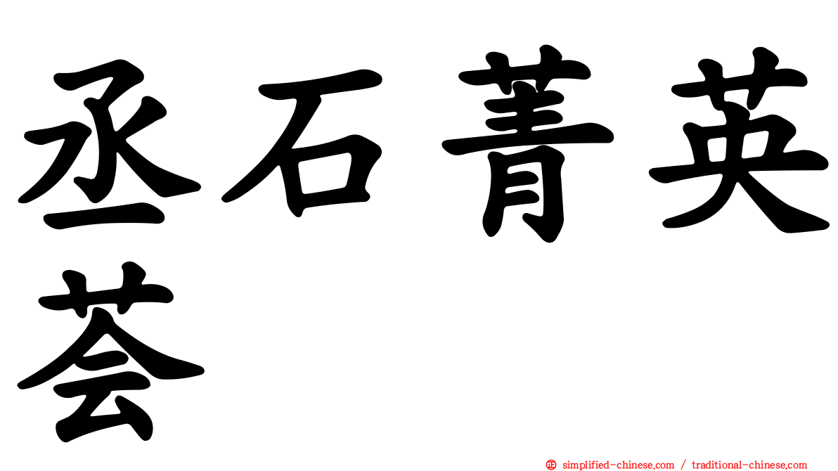 丞石菁英荟