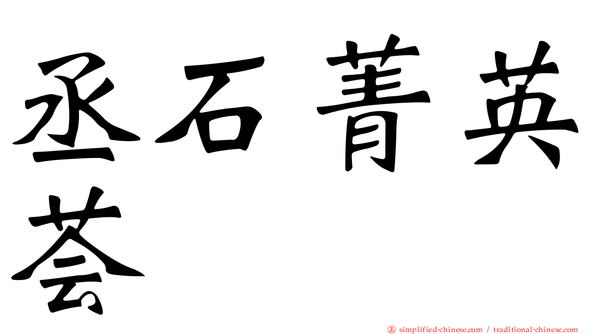 丞石菁英荟