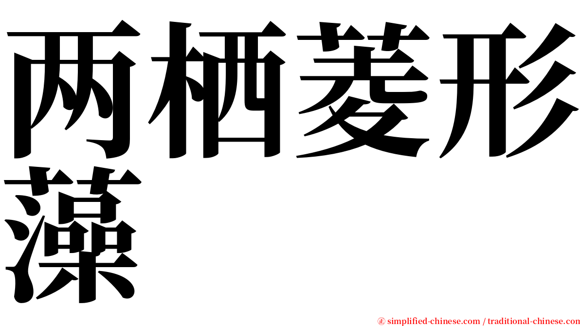 两栖菱形藻 serif font