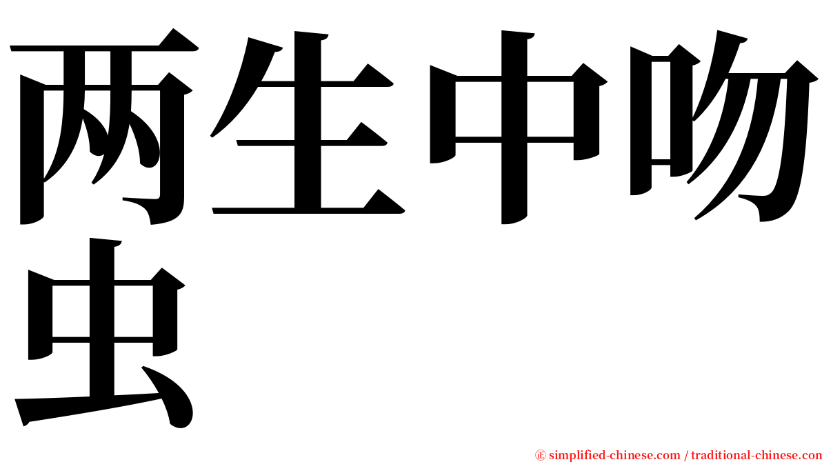 两生中吻虫 serif font