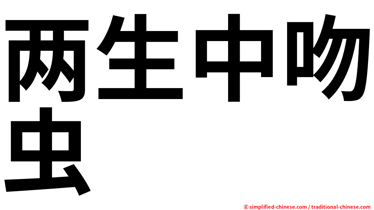 两生中吻虫
