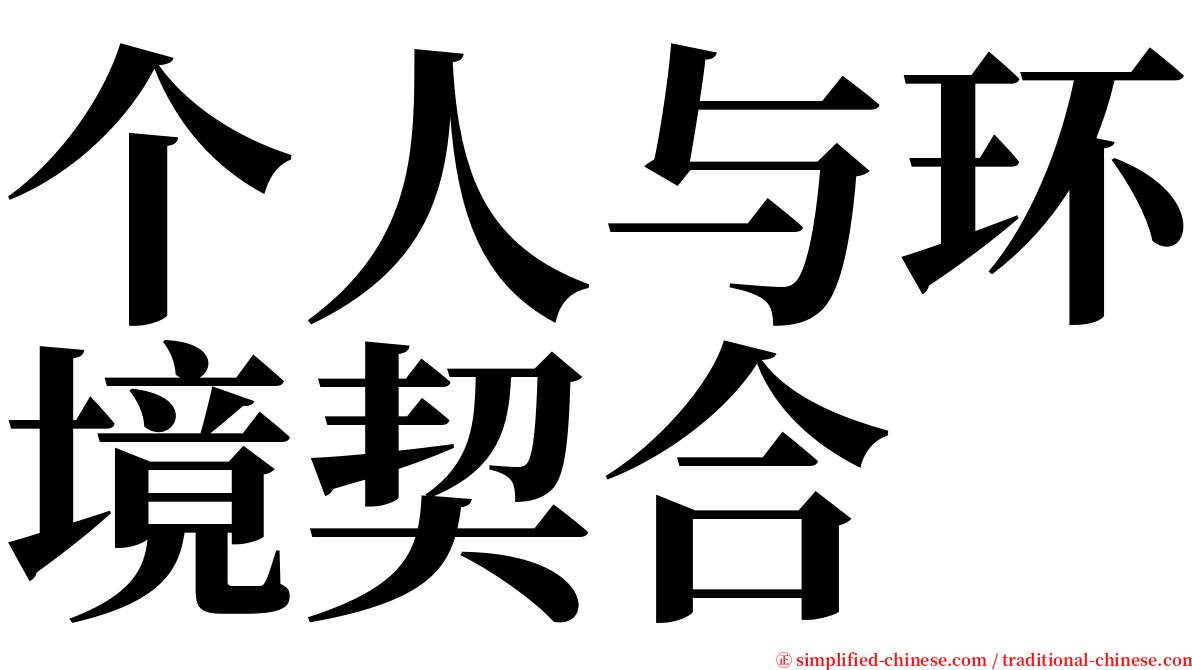 个人与环境契合 serif font
